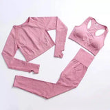 Women's Activewear Set - Gym Top & Leggings-Pink-3