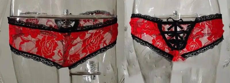 Sexy Lingerie Ladies Lace Transparent Bow Briefs Briefs-Red-3