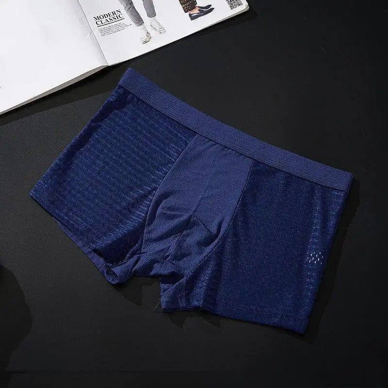 Silky mesh boxer briefs-Blue4pcsaset-7